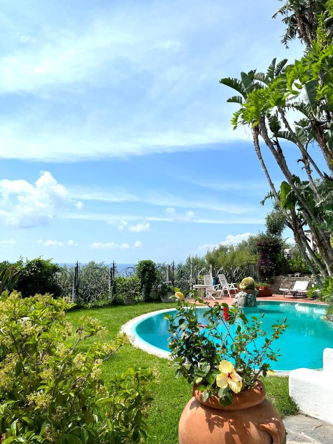 Villa Le Palme Forio  Exterior photo
