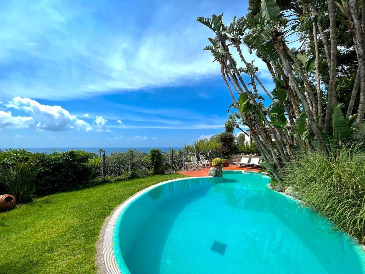 Villa Le Palme Forio  Exterior photo