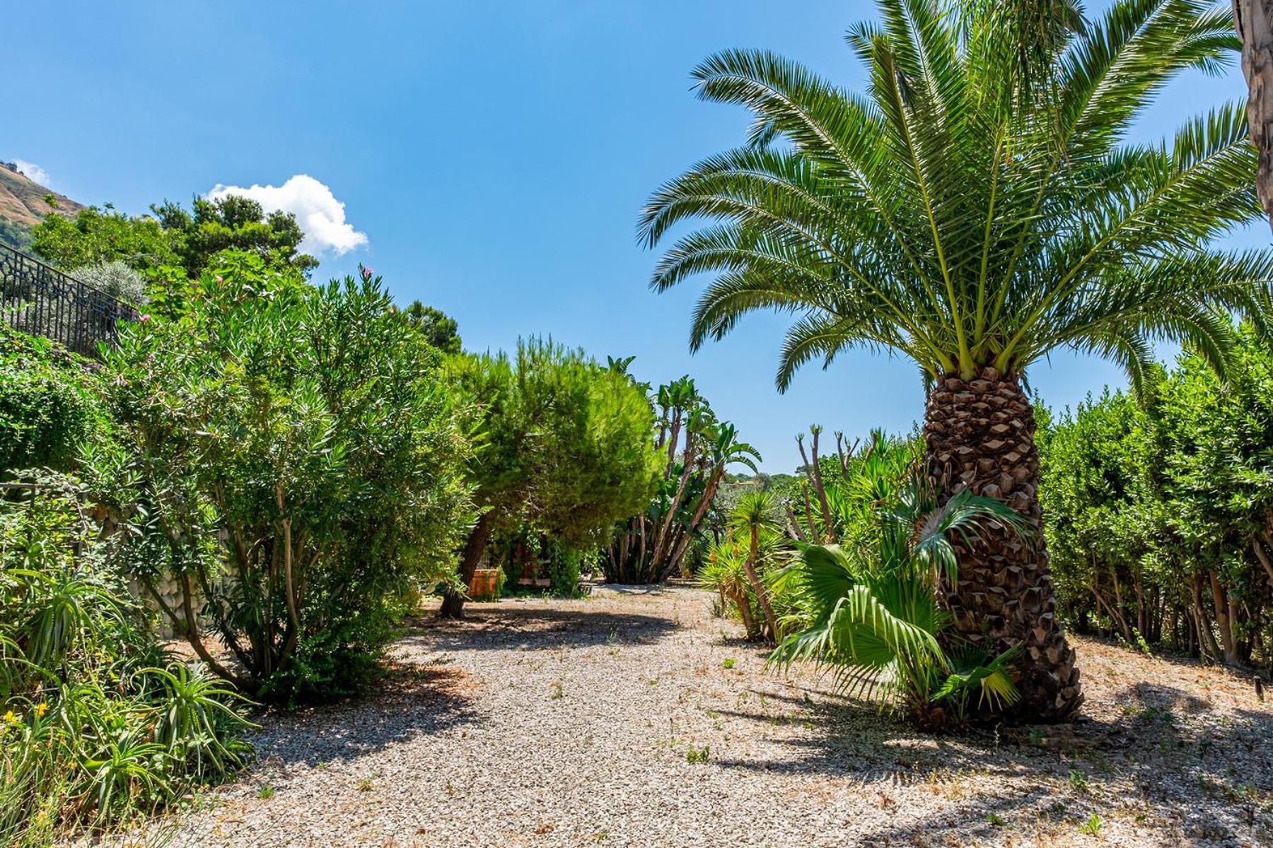 Villa Le Palme Forio  Exterior photo